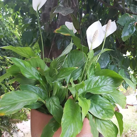 Remarkable 4-bed Villa