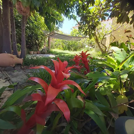 Remarkable 4-bed * La Laguna (Tenerife)