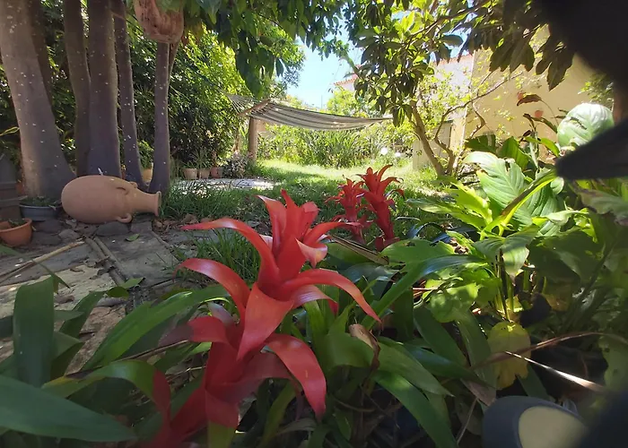 Remarkable 4-bed * La Laguna